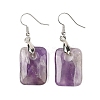 Natutal Amethyst Dangle Earrings EJEW-F343-E09-2