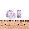 Baking Paint Transparent Glass European Beads GPDL-N005-C14mm-A04-3