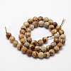 Natural Picture Jasper Beads Strands G-G736-27-10mm-2
