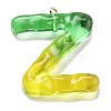 Resin Pendant FIND-Q107-01Z-02-1