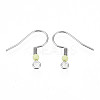 304 Stainless Steel Earring Hooks STAS-S057-63I-2