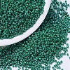 MIYUKI Delica Beads SEED-JP0008-DB0656-1