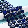 Natural Lapis Lazuli Beads Strands G-E614-A05-01-1
