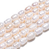 Natural Cultured Freshwater Pearl Beads Strands PEAR-N012-05J-3