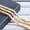 1 Strand Natural Trochid Shell/Trochus Shell Beads Strands BSHE-NB0001-18-2