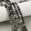 Natural Green Rutilated Quartz Beads Strands G-P325-03-6mm-5