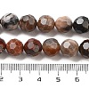 Natural Petrified Wood Beads Strands G-C150-B01-02-5