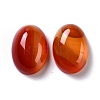 Oval Natural Carnelian Cabochons LS-G-K020-20x15mm-05-2