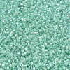 MIYUKI Delica Beads LS-X-SEED-J020-DB1707-3