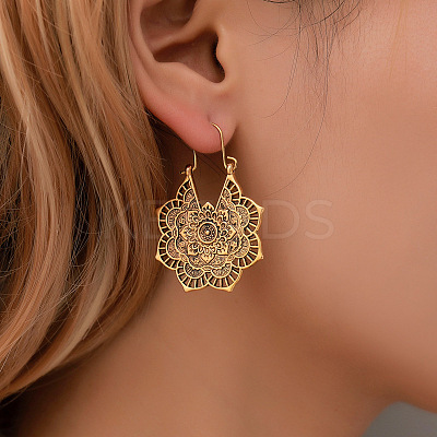 Bohemian Style Alloy Hoop Earrings FS-WG8FE08-01-1