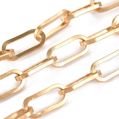 3.28 Feet 304 Stainless Steel Paperclip Chains X-CHS-L022-05G-1