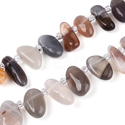 Natural Botswana Agate Beads Strands G-Z091-A30-1