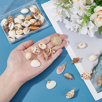 36Pcs 6 Styles Natural Mixed Shell Pendants PALLOY-PHE00014-1