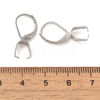 304 Stainless Steel Leverback Earring Findings STAS-U025-01P-02-1
