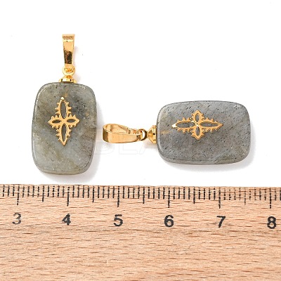 Natural Labradorite Pendants G-G461-07G-06-1