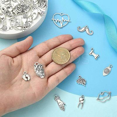 100Pcs 10 Styles Tibetan Style Alloy Charms TIBEP-CJ0002-51-1