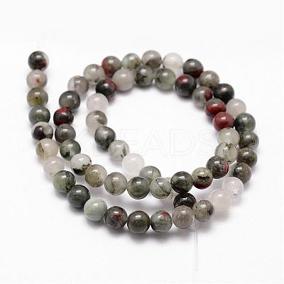 Natural African Bloodstone Beads Strands G-D840-66-8mm-1