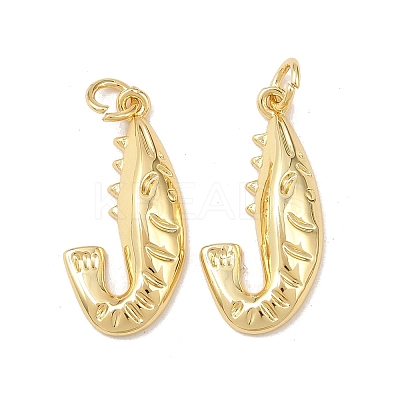 Brass Pendants KK-Z132-03G-05-1