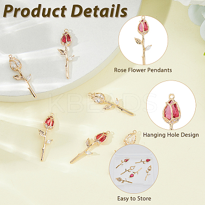 6Pcs 2 Colors Brass Micro Pave Cubic Zirconia Pendants KK-HS0015-17-1