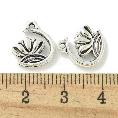 Tibetan Style Alloy Pendants TIBE-I026-6025AS-1