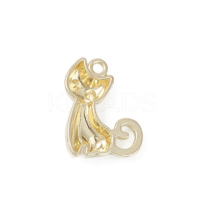 Plated Alloy Enamel Pendants LS-PALLOY-D065-01LG-1