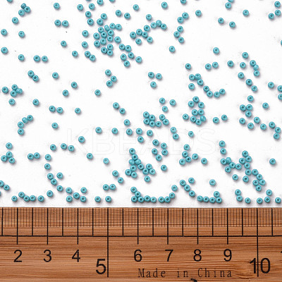 11/0 FGB Grade A Baking Paint Glass Seed Beads X-SEED-N001-A-1016-1