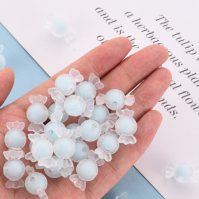 Transparent Acrylic Beads LS-TACR-S152-13C-A07-1