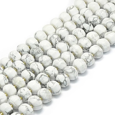 Natural Howlite Beads Strands G-P573-B02-01-1
