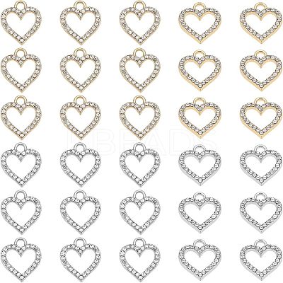 60Pcs 2 Colors Alloy Charms ALRI-FH0001-13-1
