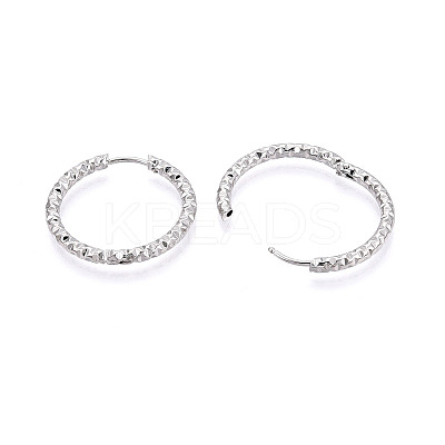 304 Stainless Steel Hoop Earrings STAS-T074-19P-1