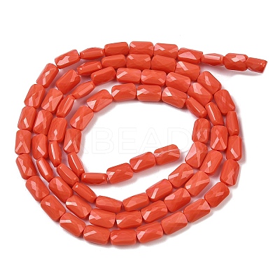 Opaque Glass Beads Strands GLAA-Z018-D23-1