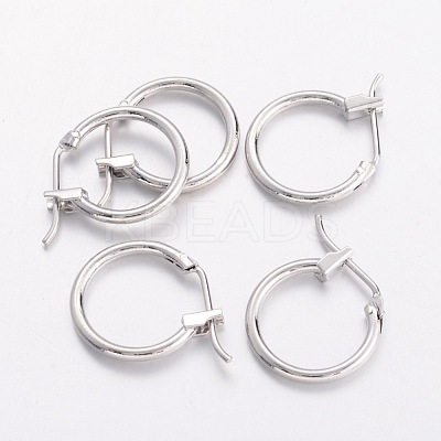 Brass Hoop Earrings EC261-NF-1