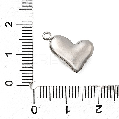 304 Stainless Steel Pendants STAS-Z163-18P-1