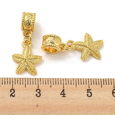 Tibetan Style Alloy European Dangle Charms PALLOY-F199-41G-1