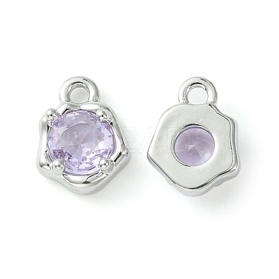 Brass Micro Pave Cubic Zirconia Charms KK-L208-10P-01-1