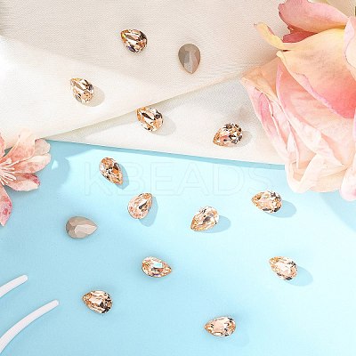 Preciosa® MAXIMA Crystal Fancy Stones X-PRC-FE14-90300-1