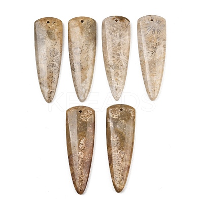 Natural Fossil Coral Pendants G-B187-01C-07-1
