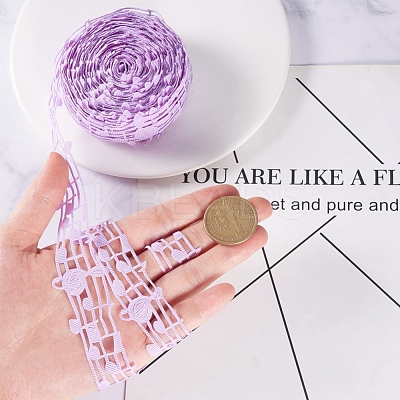 Hollow Lace Embossing Ribbon OCOR-WH0046-02A-1
