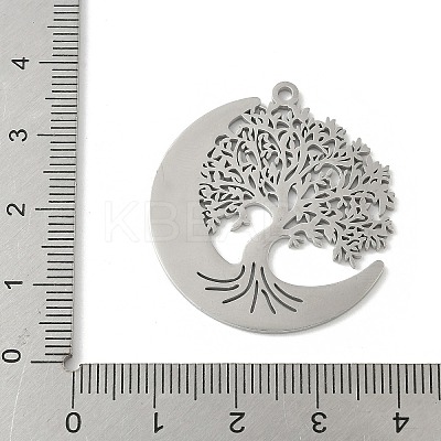 304 Stainless Steel Pendants X-STAS-V016-10P-1
