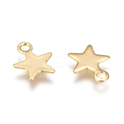 304 Stainless Steel Charms X-STAS-F159-43G-1