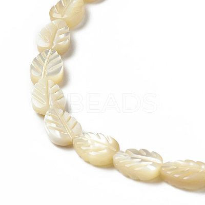 Wholesale Natural Trochid Shell/Trochus Shell Beads Strands 