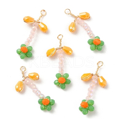 Glass Beaded Pendants GLAA-K060-02G-01-1