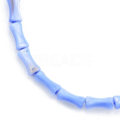 Natural Freshwater Shell Beads Strands SHEL-G013-01-1