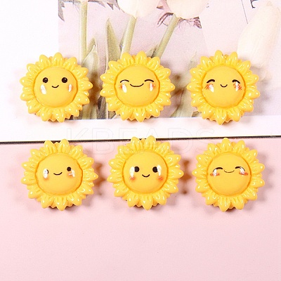 Opaque Resin Cabochons CRES-I048-01-1