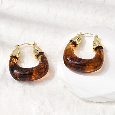 Brass Resin Hoop Earrings EJEW-P333-11D-G02-1