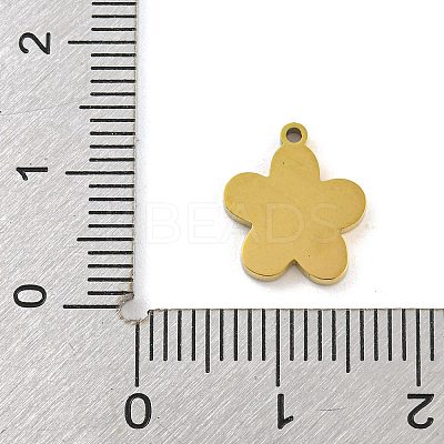 316 Surgical Stainless Steel Enamel Charms STAS-M073-29A-01G-1
