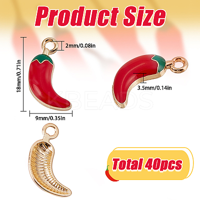 40Pcs Eco-Friendly Zinc Alloy Charms ENAM-SC0004-99-1