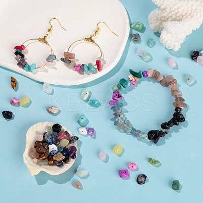 270G 18 Style Natural & Synthetic Gemstone and Shell Chip Beads G-FS0001-25-1
