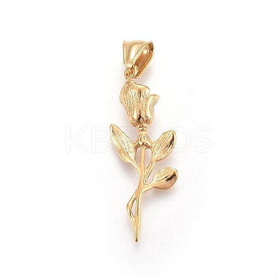 304 Stainless Steel Pendants STAS-F197-02G-1
