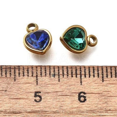 304 Stainless Steel with Rhinestone Pendants STAS-Q346-01G-1